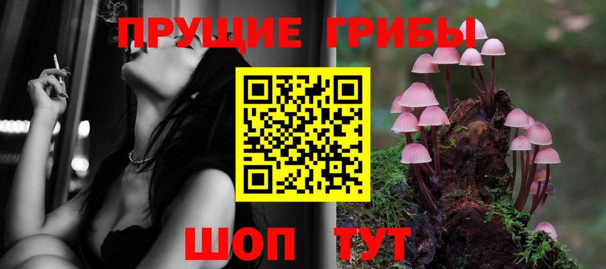 Касимов  Галлюциногенные грибы ЛСД  что такое   Вход с VPN 