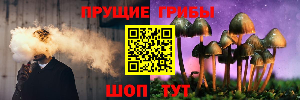 Псилоцибиновые грибы прущие грибы Касимов